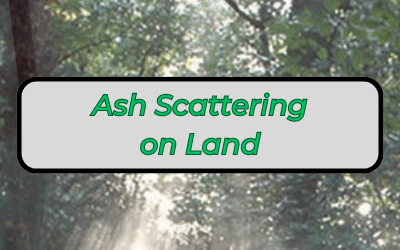 Ash Scattering – Need to Know