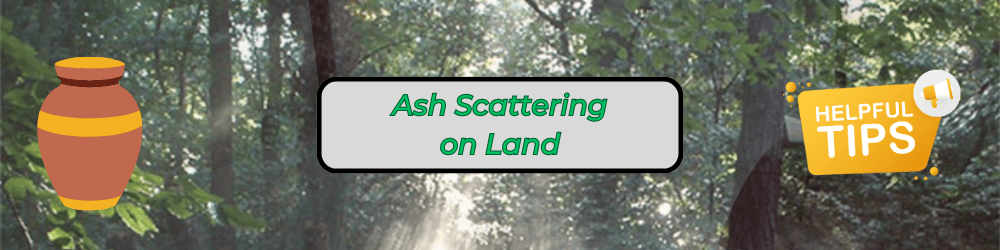 Ash Scattering on Land