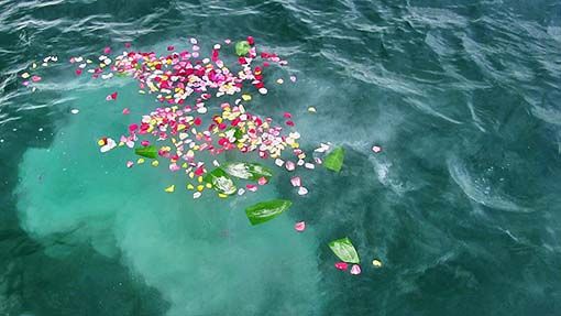 Flowers floating on the ocean during a sea burial