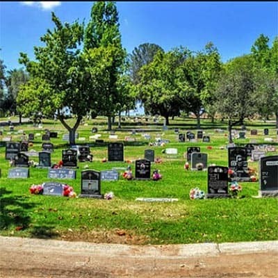 Oak Hill Memorial Park in Escondido, CA - trees and traditional headstones