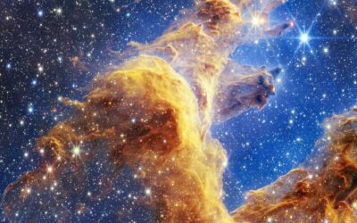 Life and Death on a Cosmic Scale